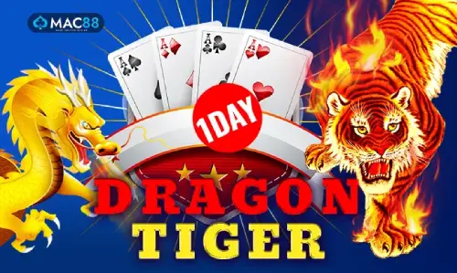shivaexchnge dragontigeroneday
